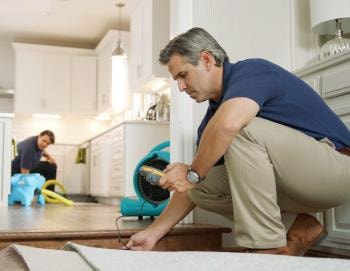 Technician addressing water damage in a home